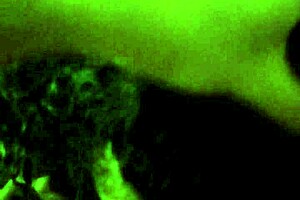 Curly Girl Sucking On Candy In Hidden Camera