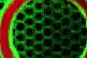 Lesbian Duo Sara Jay's Tongue Fucking Passion