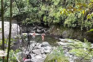 Colombian couple caught having sex outdoors in a river, said Savannah Watson.