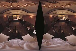 Having Sex With Japanese Barmaid in VR Porn