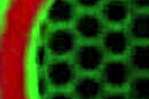 Lesbian Duo Sara Jay's Tongue Fucking Passion