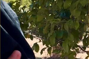 hot wife amazing public blowjob