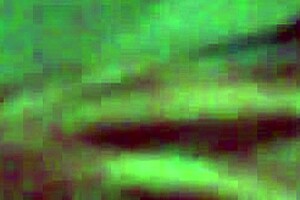 are you the whore from 14 puebla looking for anal sex?