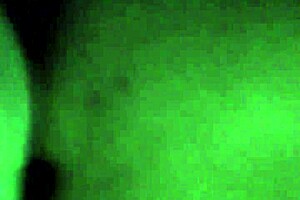 are you the whore from 14 puebla looking for anal sex?