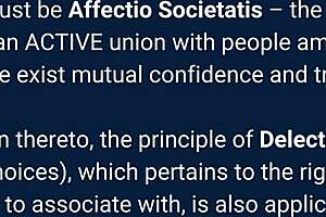 I explore the law on partnership with amateurs