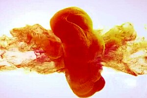 Wetandpissy - Piss Soaked Toy Play