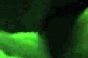 She rode tight pussy in wet cowgirl style