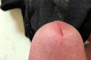 Placed My Cock On My Girlfriend's Dirty Panties