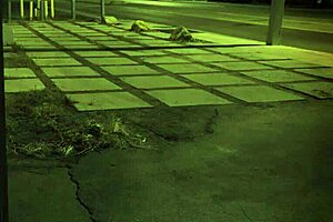 b gangbang compilation for first timers