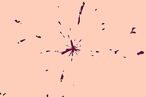 Amateur mature woman in anal sex creampie scene