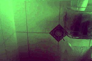 Stepmom Showers With Stepson