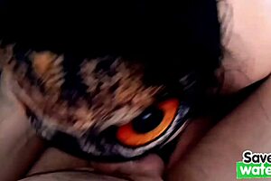 stepmom suck stepson