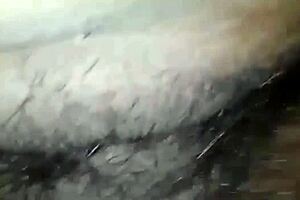 I'm totally into penetrating that delicious hairy pussy with my cock right now it's so hot