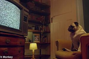 Perfect Blonde Candee Licious Shows Off Body In Lingerie, Benefit Monkey