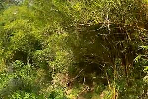 ayudo a desconocida y ella queria ir al bosque a tener sexo conmigo y casi nos descubren