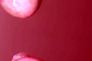 Japanese porn story three just for fun?