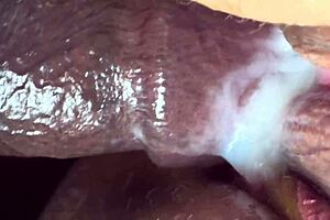 jamdown26 shares top creampie and panty highlights