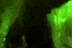 I had the crossdresser lick my feet, fucked his ass, and punched him with boxing gloves