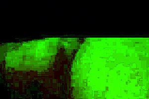 Have you seen how i fucked my young mexican student from public school with her round tits and shaved pussy in homemade videos?