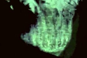 vintage erotic art collection