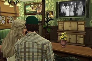 milf fucked by boyfriend in washing machine