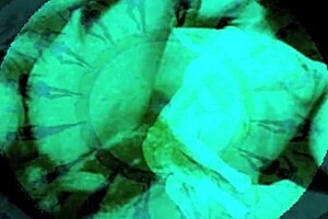 vintage erotic art collection