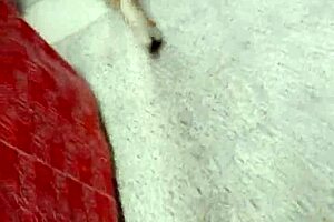 exploring colombian culture through vibrant traditions and landscapes