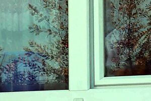 Public Nudity Driver Saw Naked Milf In Stockings Without Panties Washing Window