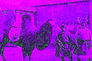 I think, dark lantern presents the dragonfly scene two part two