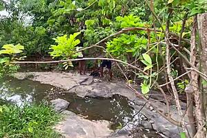 Chubby BBW Screams During Intense Forest Fuck