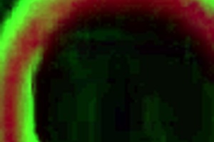 Rome Major fucks Elsie's pussy