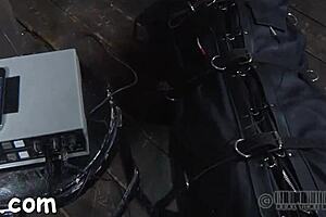 Upside down hottie has nipples clamped during hardcore sex.