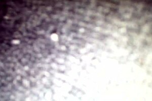 Did cherise roze strip at queens super lounge halloween party in phila pa?