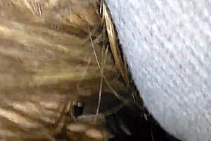 White Girl Sucking Big Black Dick Nutted in Her Mouth