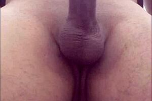 Compilation of all my photos in different facets, check it out! 📸