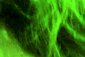 hey babe, french canadian milf sucking my latin cock like a pro in hotel room 😏💦