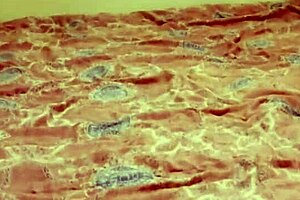 an older man catches a young girl out late drinking he wont tell if she lets him use her ass pussy and mouth