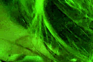 hey babe, french canadian milf sucking my latin cock like a pro in hotel room 😏💦