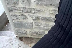 risky public flashing and sex with my favorite tiktok influencer - pov amateur teen 18+ sex 😍