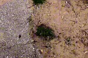 real very cute homemade video with a beautiful girl enjoying a quiet evening at home