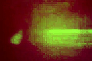 look at her in those jeans at the tianguis!