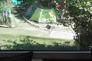 Hairy pussy amateurs explore mature milf sex 😏