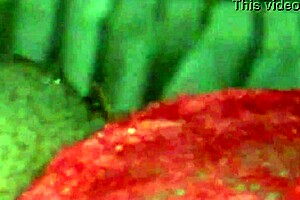 Extreme Pov Close Up Of Pussy In Missionary Fuck