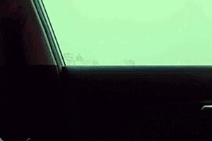 Dick Dance Outside In Vehicle