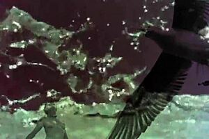 dark lantern entertainment presents women with animals