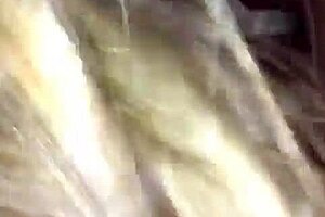 Hermosa argenta parte 1