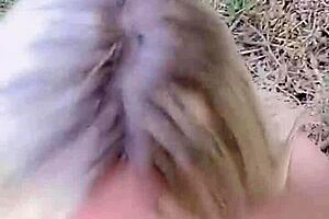 Compilation Of Pov Blowjobs From Hot Couple