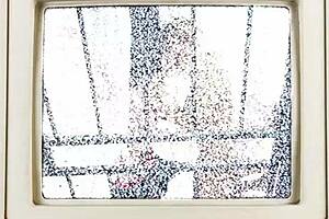 Teach me how to blow - jackie banes