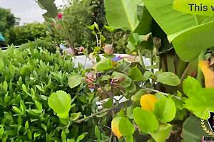 Massive cock shoves deep into horny kaden kole's wet pussy