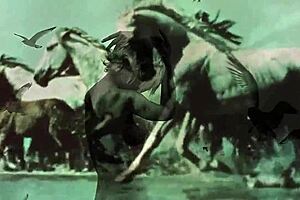 dark lantern entertainment presents women with animals